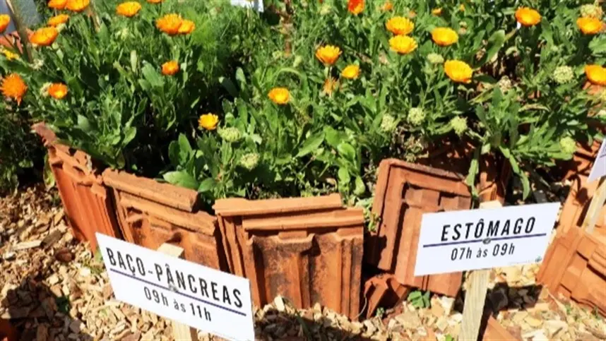 Visita ao Horto de Bozano coloca Diocese de Cruz Alta em contato com mandala e espiral de plantas
