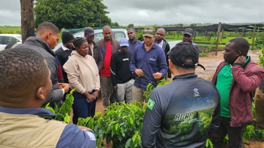 Pesquisadores da Epamig ajudam a desenvolver a cafeicultura sustentável em Moçambique