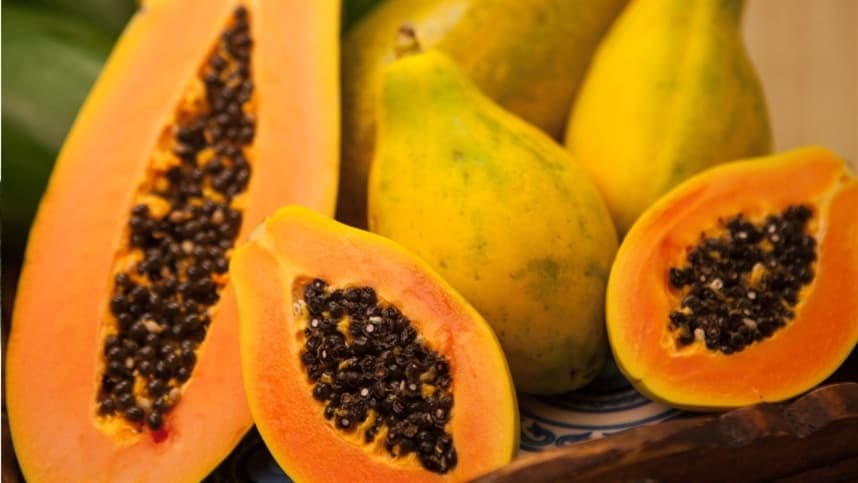 Brasil lidera padronização internacional do mamão pela OCDE