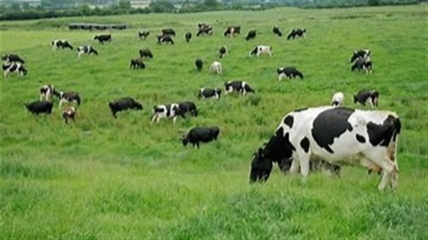 Plataforma para expandir as fronteiras da pecuária de precisão