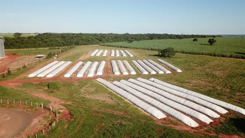As vantagens do silo-bolsa na armazenagem