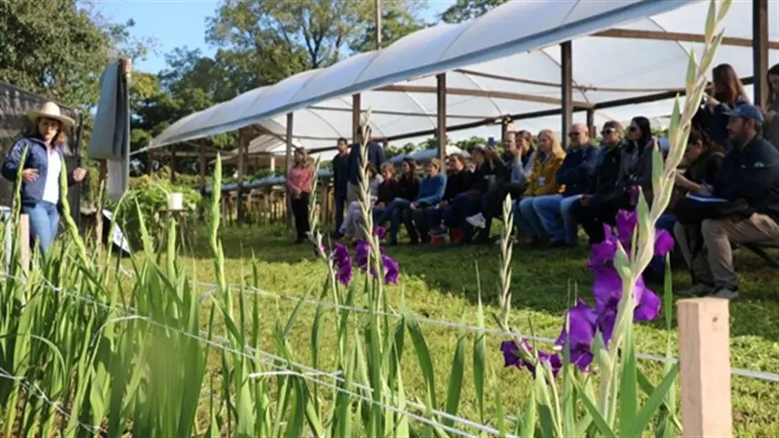 RS: Projeto Flores Para Todos realiza Dia de Campo em Teutônia