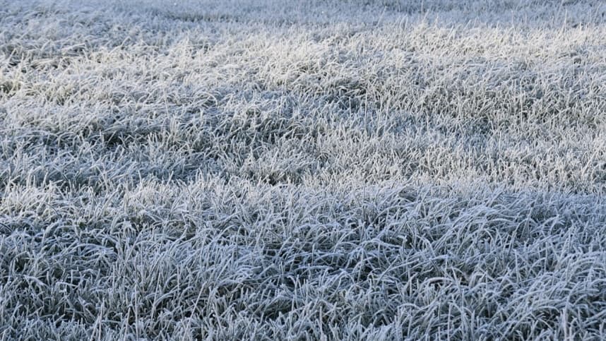 Massa polar pode levar temperaturas abaixo de 0°C