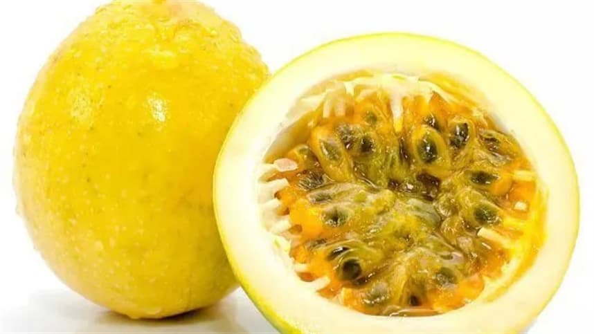 As sementes englobam frutas, grãos e oleaginosas