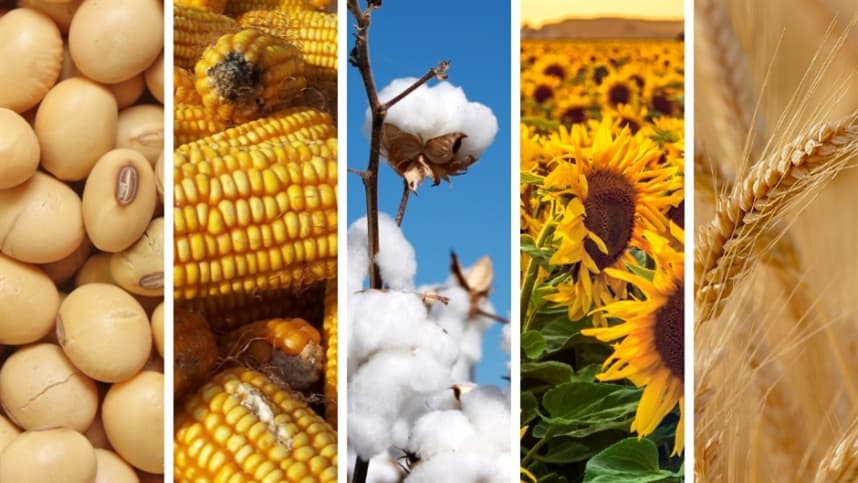 Argentina registra clima atípico e impacto na produção