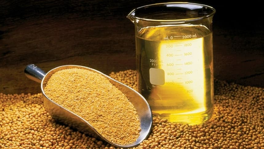 Conab abre edital para armazenagem de farelo de soja