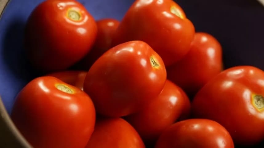 Supergan é o único fertilizante com registro de condicionador biológico do solo