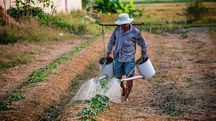 Conab reforça apoio à agricultura familiar em Várzea Grande