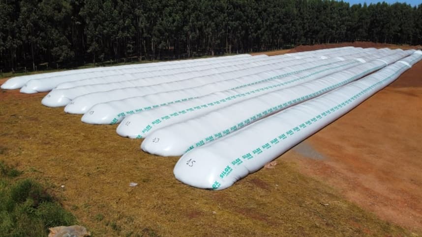 Silos secadores são solução ao déficit de armazenagem em SC