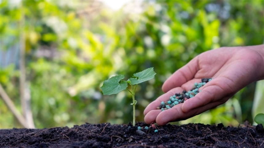 PL aprovado pela Câmara equipara fertilizantes a minerais críticos