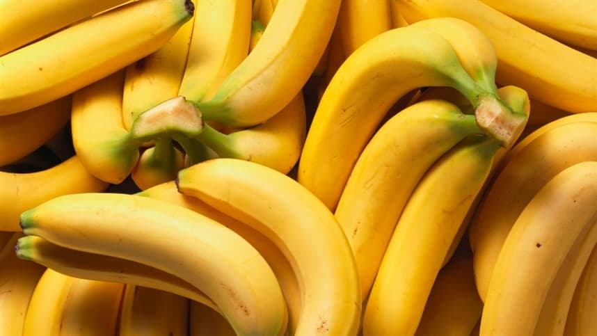 Dia Nacional da Banana celebra produção e pesquisas no Brasil