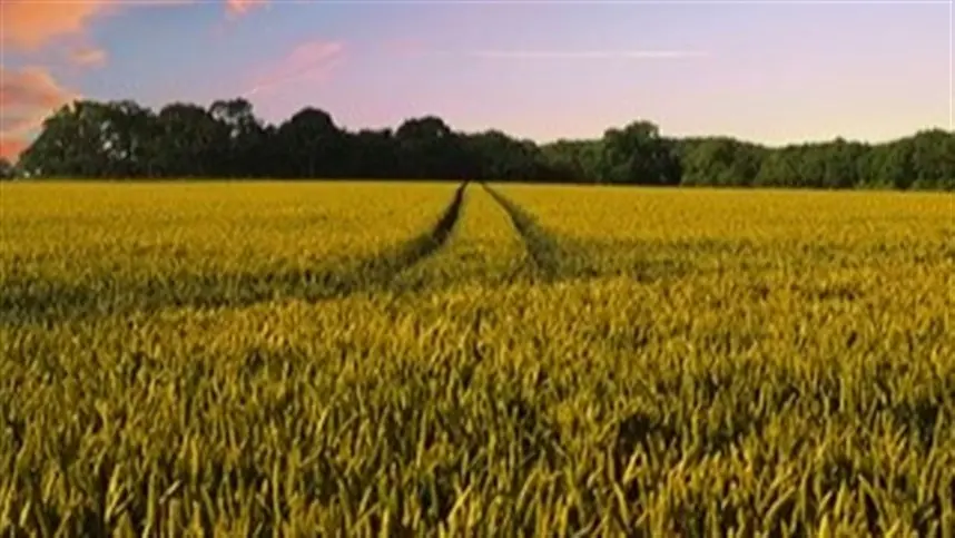 A meta do governo brasileiro na COP de se tornar um dos maiores países em exportação agropecuária é ambiciosa