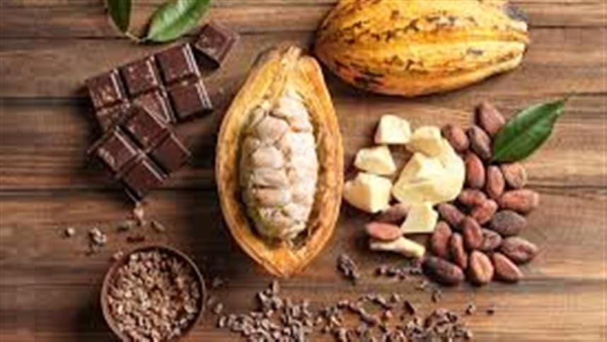 Cacau recua dos picos, mas ainda segura alívio no preço do chocolate