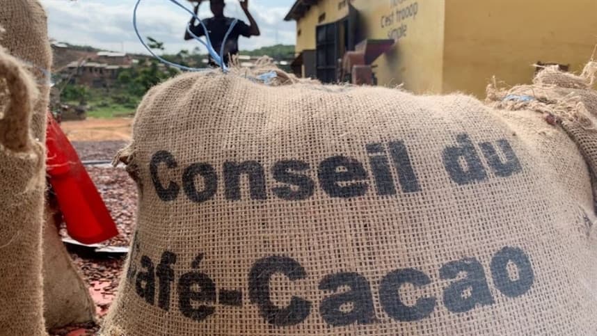 Exportadores de cacau da Costa do Marfim sofrem com a escassez de grãos