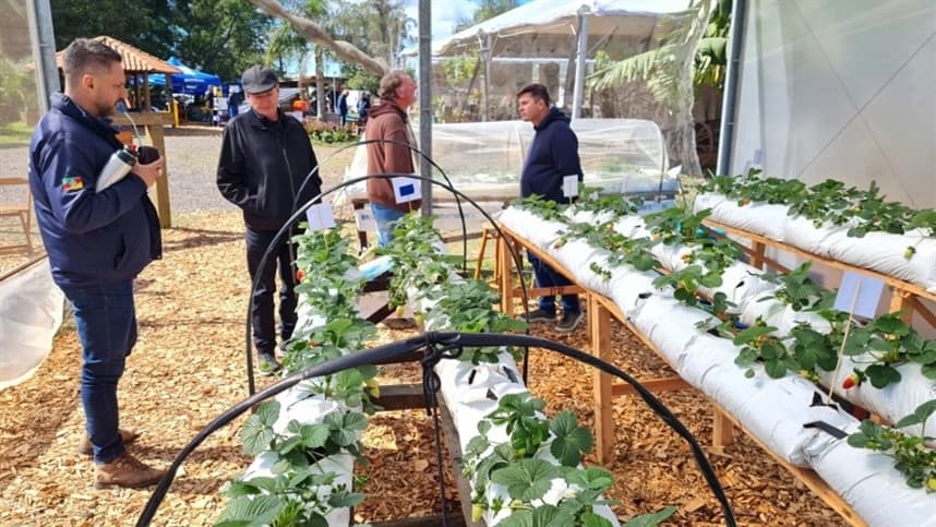 Práticas para uma fruticultura mais sustentável no estande da Emater