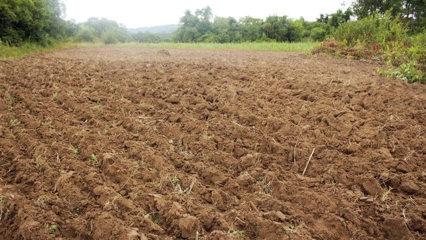 Mapeamento da condutividade elétrica e relação com a argila de Latossolo sob plantio direto