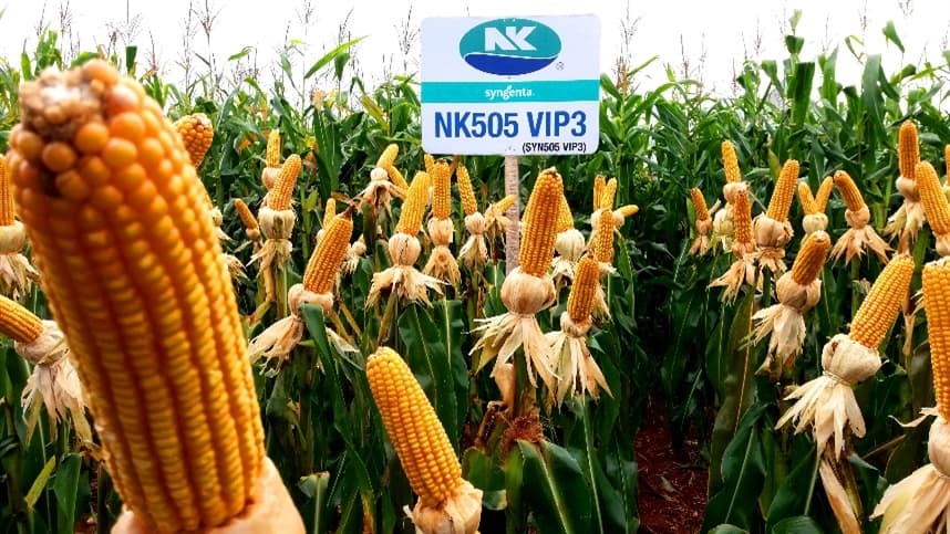 Syngenta traz tecnologias agrícolas e serviços digitais