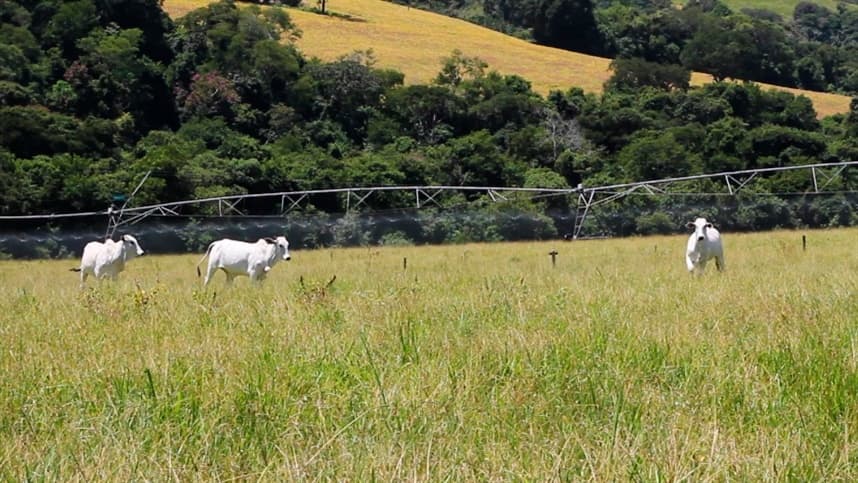 Senar apresenta as ações do projeto AgroNordeste no Rio Grande do Norte