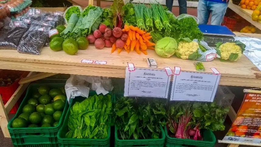 Prefeitura de Concórdia prioriza aquisição de produtos da agricultura familiar