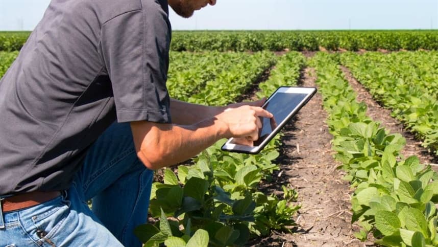 Esse cenário indica uma mudança no perfil da produção agrícola