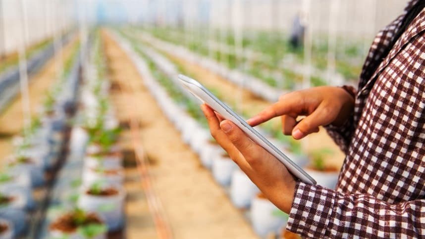 Resultados vem de pessoas, procedimentos e soluções digitais