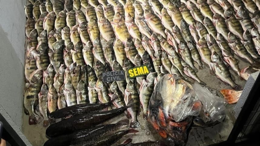 Sema apreende pesca e carne de caça ilegal em MT