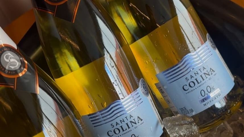 Do vinhedo ao copo: bebidas conectam tradição e bem-estar