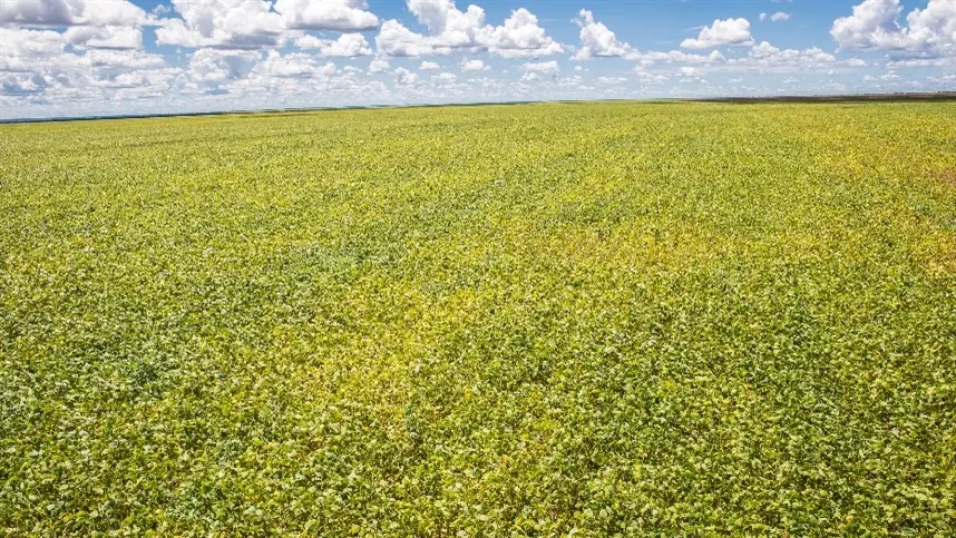 Nova regra muda pedidos de prorrogação de dívidas do crédito rural