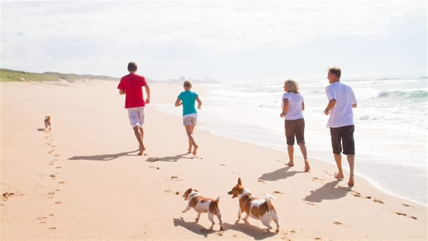  Verão e férias: como cuidar dos seus pets?
