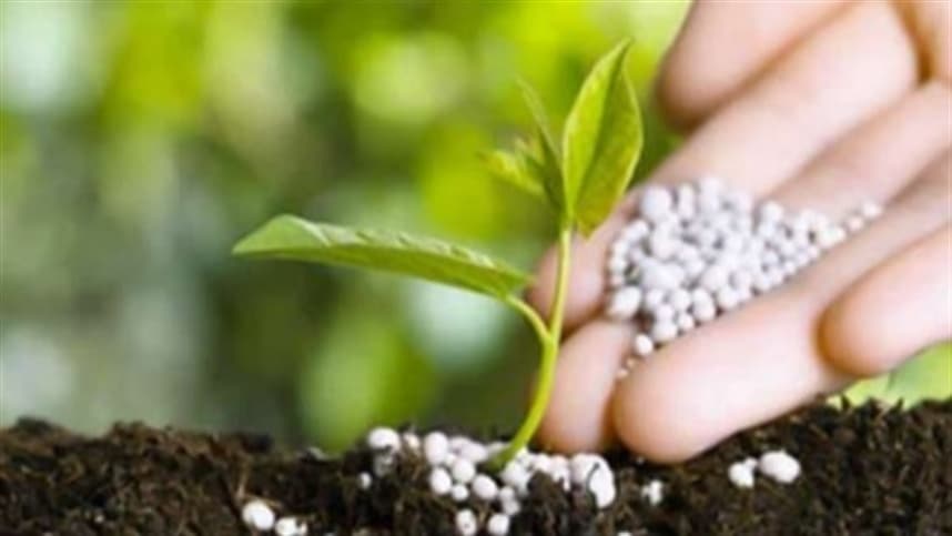 Plano Nacional de Fertilizantes