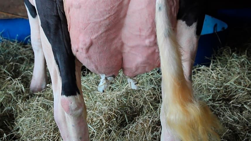 Monitoramento de antimicrobianos é atualizado