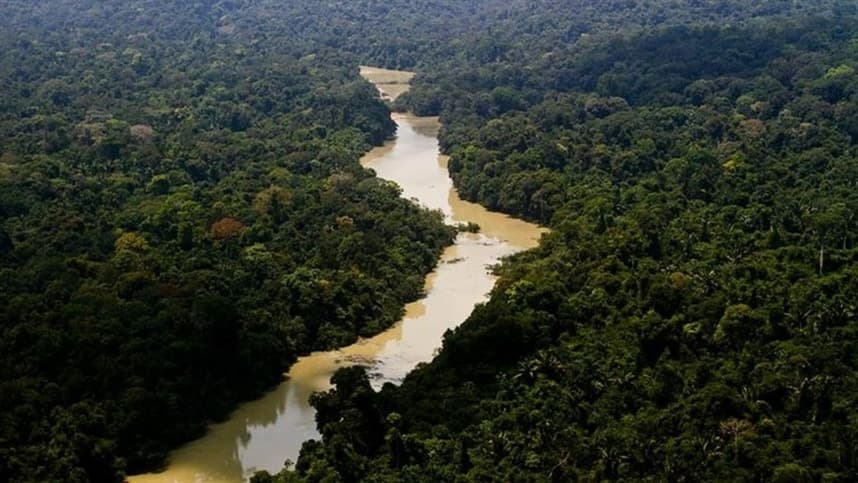 Dia da Amazônia: famílias criam modelo de negócio com restauração