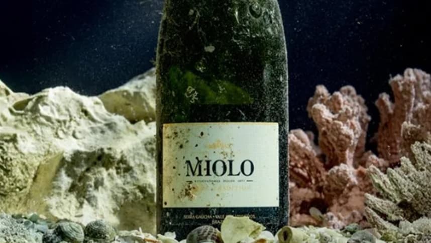 Espumante submerso no Oceano Atlântico chega ao Vale dos Vinhedos