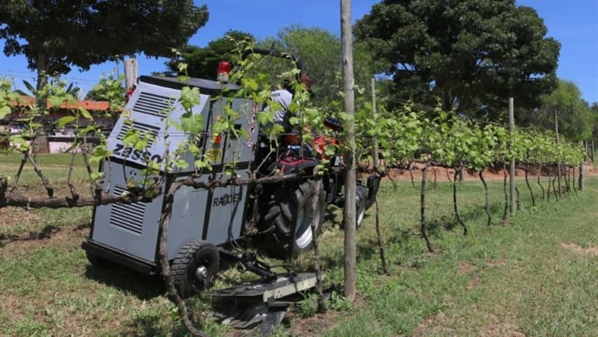 Tecnologia limpa disponível no Brasil é aliada do produtor de orgânico