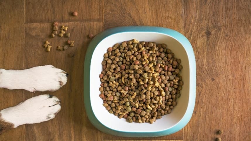 Mapa determina recolhimento de lotes de produtos para alimentação animal