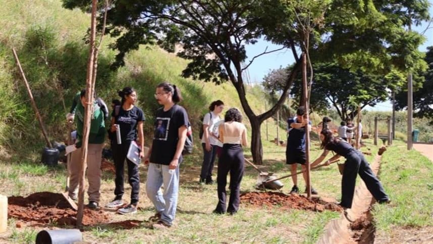 Parceria amplia produção de árvores como ipês e pitangueiras destinadas a áreas públicas de BH