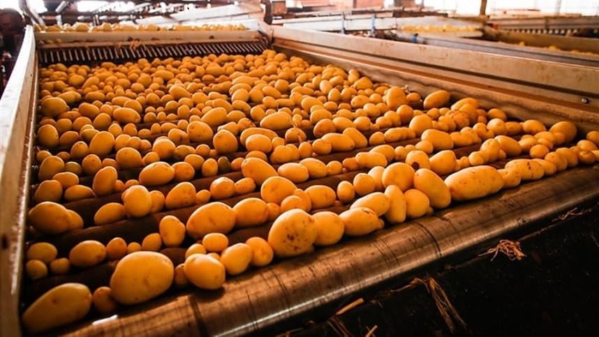 Manutenção de antidumping para batata congelada é defendida