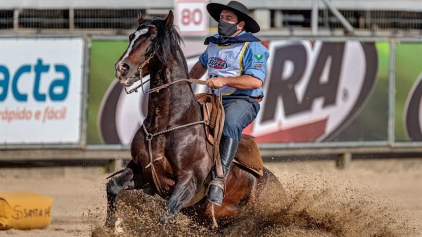 GAP Genética celebra 40 anos na criação de Cavalos Crioulos com leilão