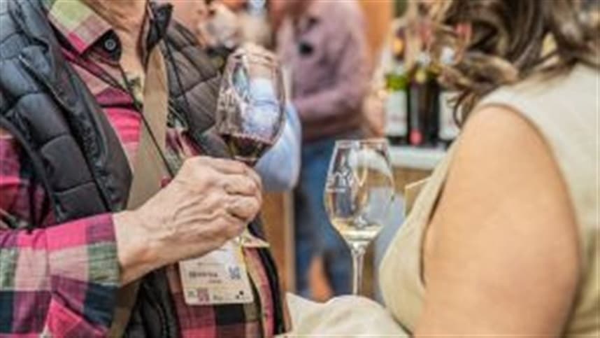 Interesse do brasileiro por rótulos internacionais fortalece Wine South America na Serra Gaúcha