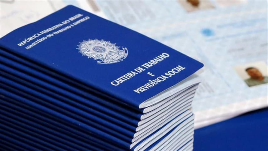596,8 mil pessoas estavam ocupadas na agropecuária em São Paulo