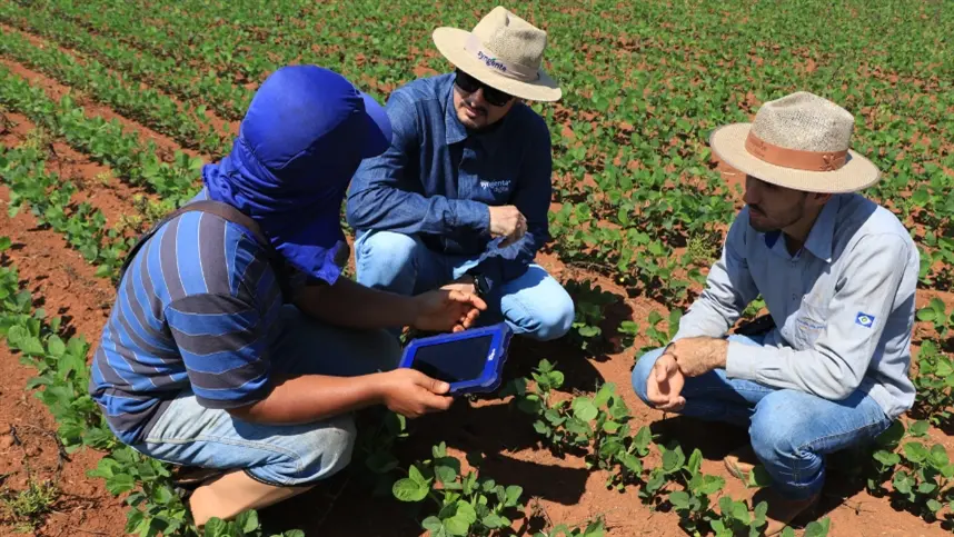 Inovação e produtividade serão temas de destaque para a Syngenta na Agrishow 2024