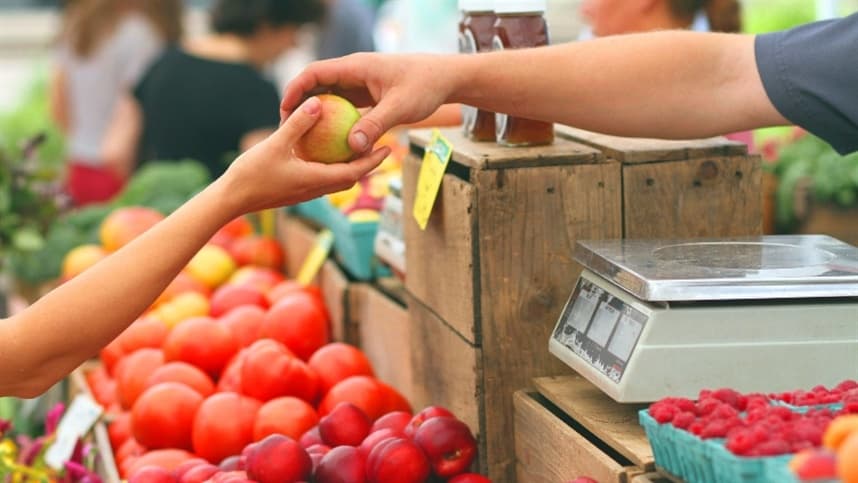 SC dá início à década de incentivo à agricultura familiar