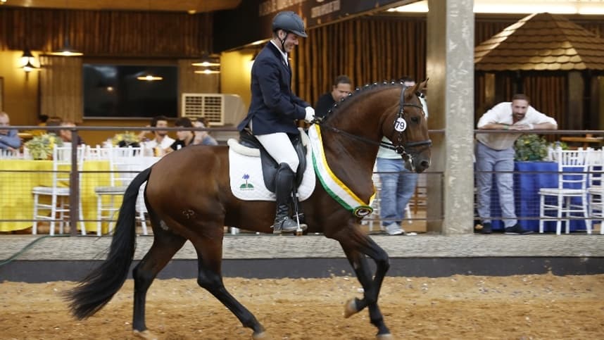 39ª Expo Internacional do Cavalo Lusitano elege os Grandes Campeões de 2021