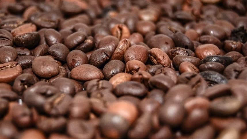 STIHL oferece vantagens para o cafeicultor 