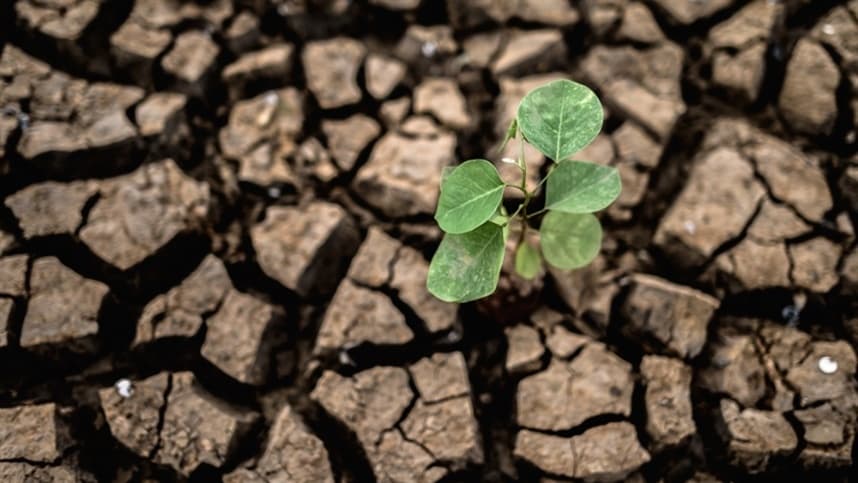 Mudança do clima também foi tema da Feira Brasil na Mesa