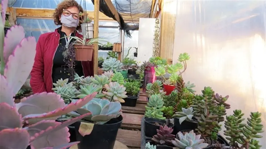 Da paixão pelas flores a uma nova fonte de renda