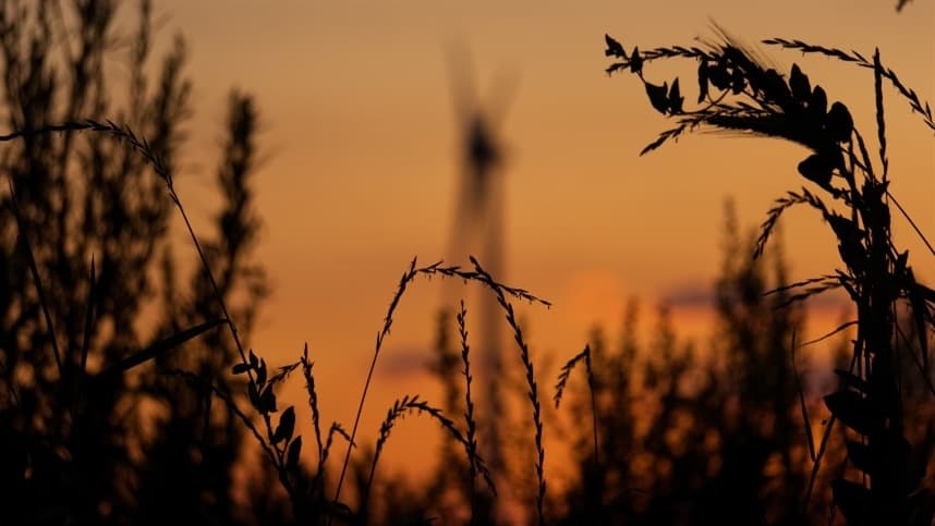Frio e chuvas favorecem lavouras de inverno na Região Sul
