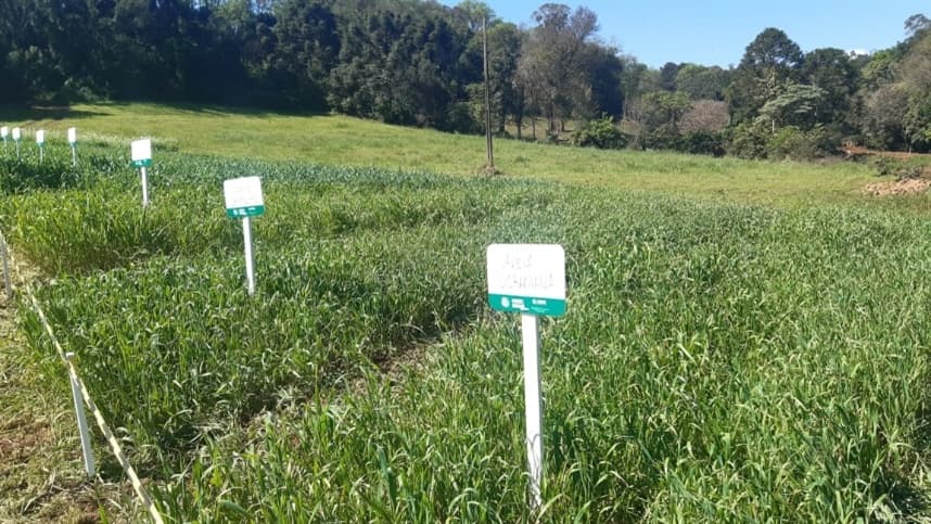 Dia de Campo reúne produtores de leite e ovinos de corte em Galvão 