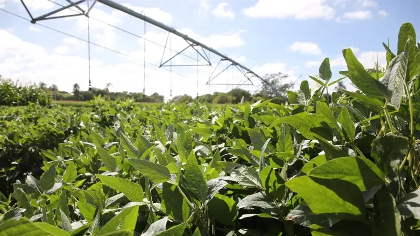 Produtores rurais têm até o fim de janeiro para definir forma de recolhimento do Funrural