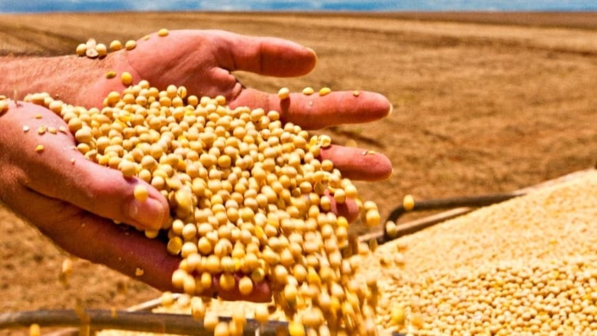 O papel da transgenia na competitividade global da soja brasileira